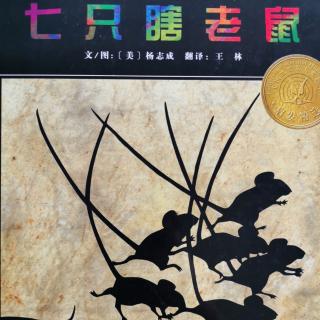 幼专金海湾幼儿园  尚老师—《七只瞎老鼠》