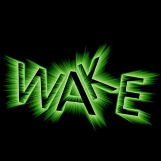『音乐』Wake (Live)