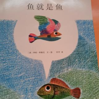 鱼就是鱼🐟