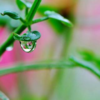 雨后