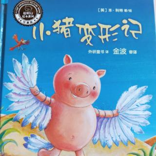 小猪🐷变形记