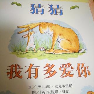 猜猜我有多爱你