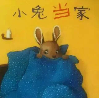 【0005】小兔当家