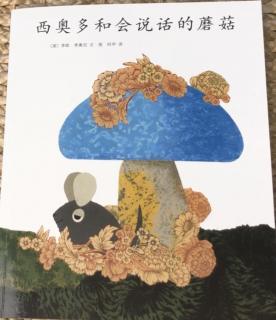 西奥多和会说话的蘑菇🍄 - 李欧.李奥尼