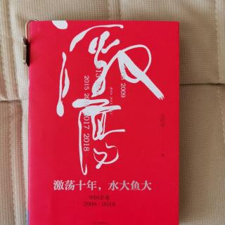 《激荡十年，水大鱼大》吴晓波“2010超越日本7”