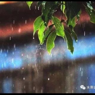 合诵《倾听秋雨》碑林路人