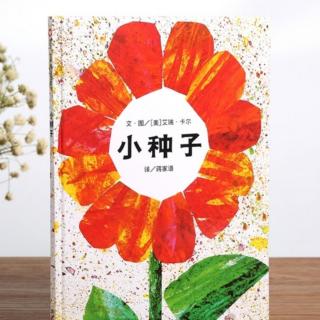 《小种子》