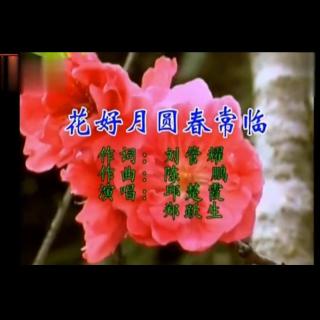 花好月圆春常临