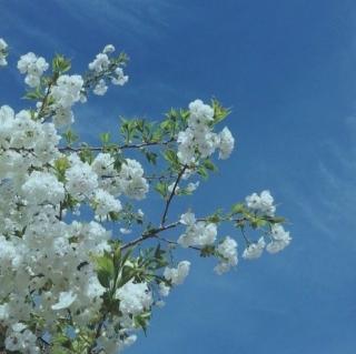 第一单元《成长的节拍》