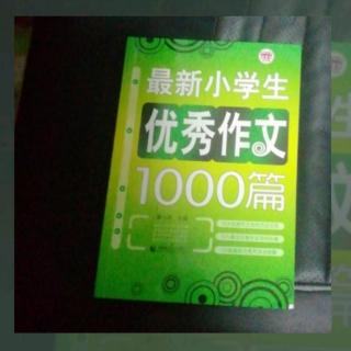 第772天《最新小学生，优秀作文1000篇》