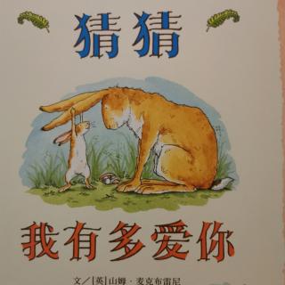 猜猜我有多爱你