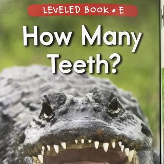 RAZ LevelE 304 - How Many Teeth？