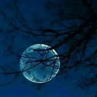 夜月——海子