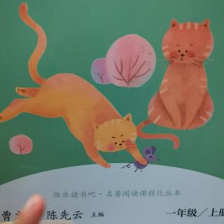 小猫咪穿鞋子