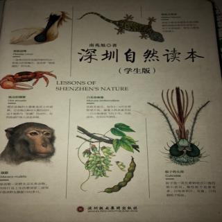 《深圳自然读本（学生版）》~2