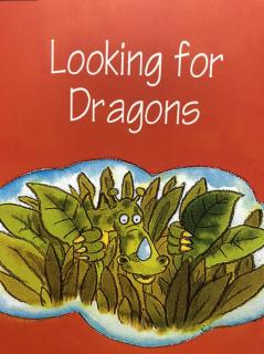 Looking for Dragons