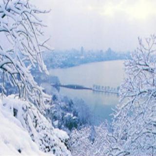 东篱菊香 湖心亭看雪
