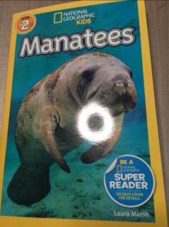 Manatees