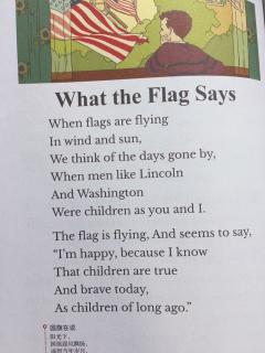What the flag says