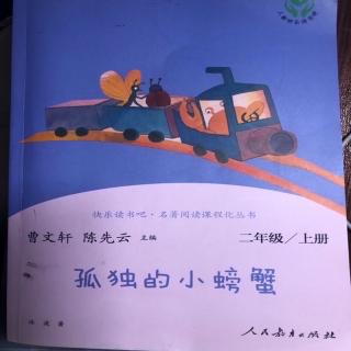 《孤独的小螃蟹》8.小青蟹回来了