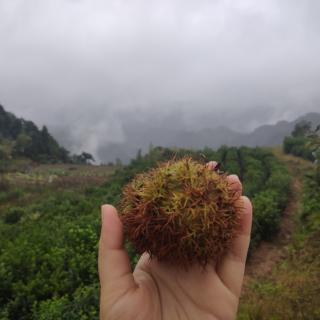 不需要对每个人都展现真实的自己