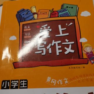 小动物智斗老虎