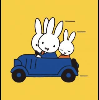赛锐思睡前故事《小兔子的小汽车》