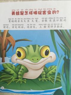 青蛙🐸是怎样捕捉害虫的？