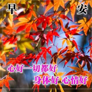 喀纳斯早安心语（10.6）