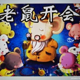 幼儿故事《老鼠🐭开会》