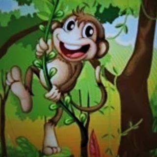 幼儿故事《猴子🐵盖房》