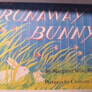 109.The runaway bunny