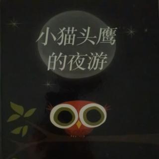 小猫头鹰的夜游