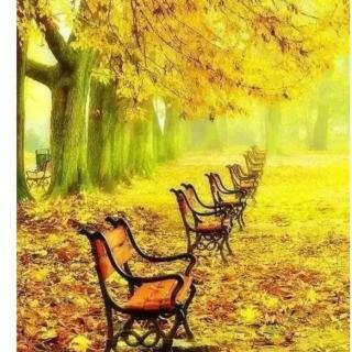 《我喜欢秋天》作者欧阳文朗诵佳妮
