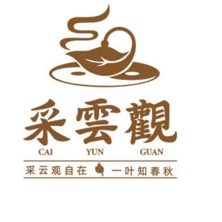 采云观茶语.第六章第153小节小壶茶泡法