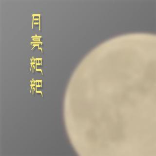 月亮粑粑（撕念 · Cover赵雷）