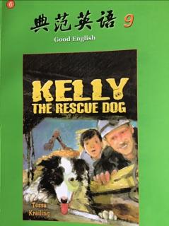 Kelly the rescue dog