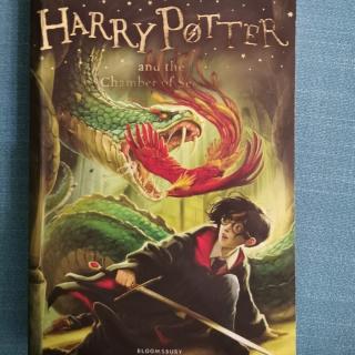 Harry Potter and the chamber of secrets chapter17--18