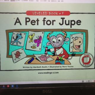 A Pet for Jupe