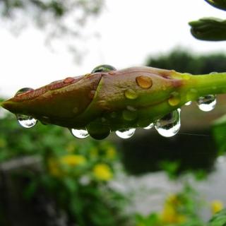 124白水明府舅宅喜雨