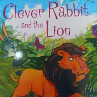 ［芝麻街晚安故事122］Rami讲故事《Clever rabbit and the lion 》