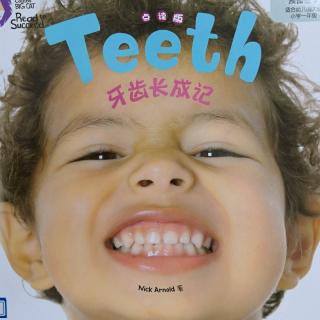teeth单词