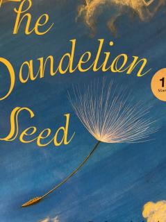 Ni 【Vol 107】The Dandelion Seed （SL 1G）