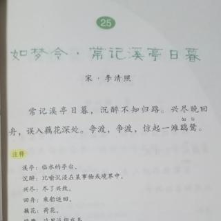 《如梦令·常记溪亭日暮》分享