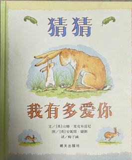 《猜猜我有多爱你？》