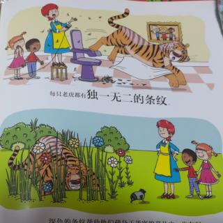 动物妙想国 老虎会走钢丝吗？