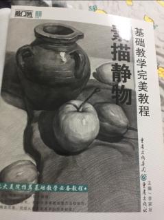 水果素描练习