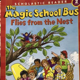 The magic school bus flies from the nest