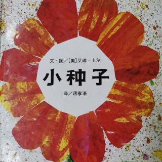 卡蒙加幼教集团刘老师晚安故事——《小种子》