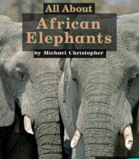 Allabout African elephants（2）